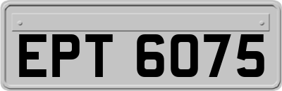EPT6075