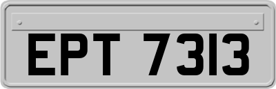 EPT7313