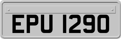 EPU1290