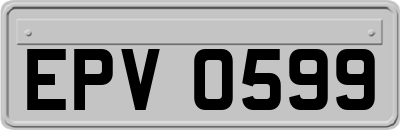 EPV0599
