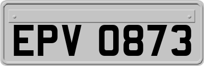 EPV0873