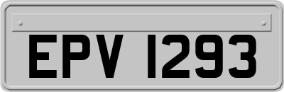EPV1293