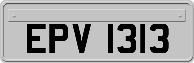 EPV1313
