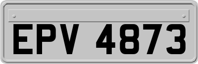 EPV4873