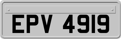 EPV4919