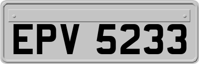 EPV5233