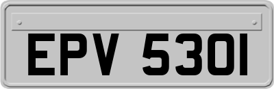 EPV5301