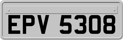 EPV5308