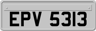 EPV5313