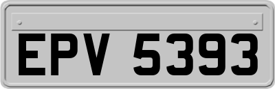 EPV5393