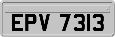 EPV7313