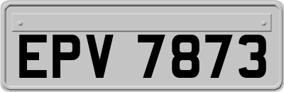 EPV7873