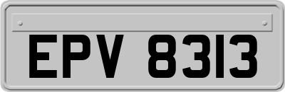 EPV8313