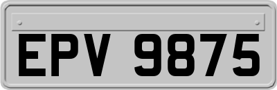 EPV9875