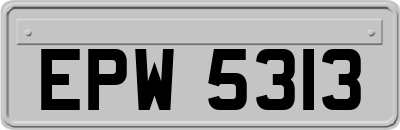 EPW5313