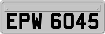 EPW6045