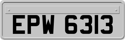 EPW6313