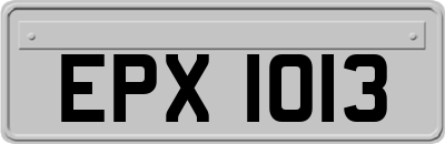 EPX1013