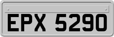 EPX5290
