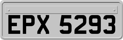 EPX5293