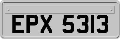 EPX5313