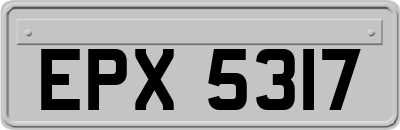 EPX5317