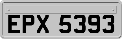 EPX5393