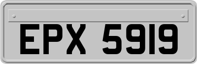EPX5919