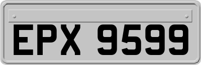 EPX9599