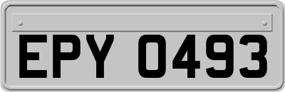 EPY0493