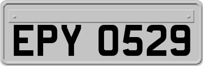 EPY0529