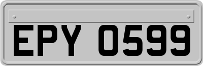 EPY0599