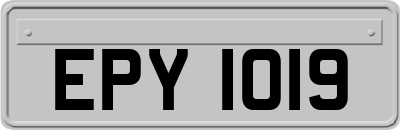EPY1019