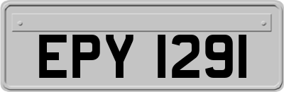 EPY1291