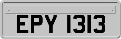EPY1313