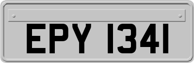 EPY1341