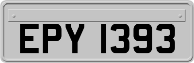 EPY1393