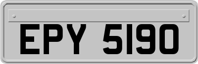 EPY5190
