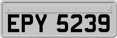 EPY5239