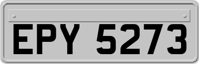 EPY5273
