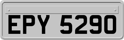 EPY5290