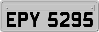 EPY5295