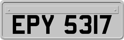 EPY5317