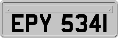 EPY5341
