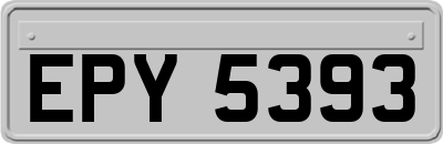 EPY5393