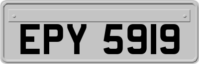 EPY5919