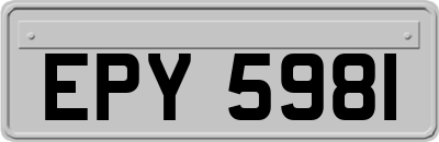 EPY5981