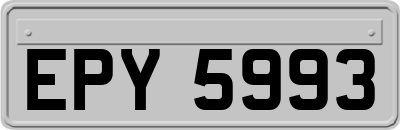EPY5993