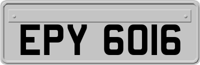 EPY6016