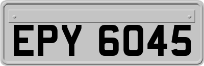 EPY6045